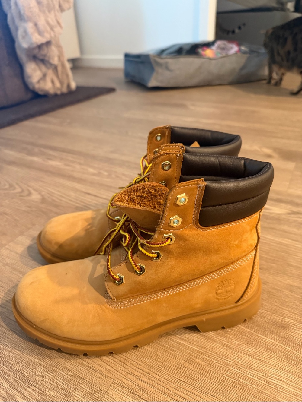 Never worn Timberland boots
